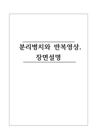 분리병치와 반복영상, 장면설명