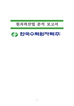 한국수력원자력기업보고서
