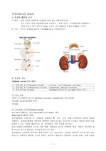 adrenal mass , 부신 종양
