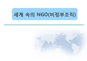 세계속의 NGO