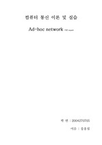 ad-hoc network