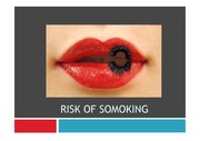   [생물학]【A+】흡연의 위험성(Risk of somoking)