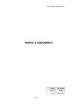 Maths Assignment Format (appendix)