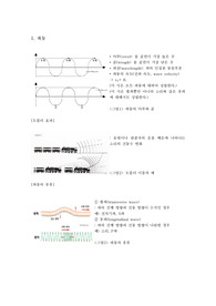 물리학- 파동