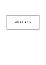 뇌의 구조 및 기능