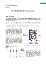 Size Exclusion chromatography