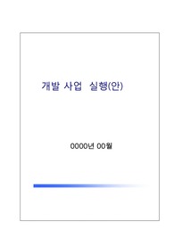 개발사업실행(안)