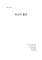 효소활성화