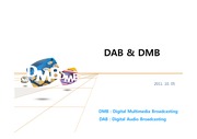 DMB & DAB