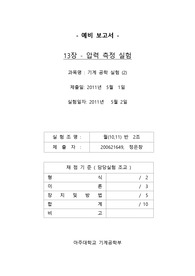 13장_예비 보고서