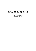 학교폭력청소년