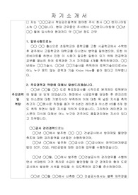 책임건설사업관리기술자,책임감리원자기소개서