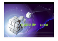 비교문화모형 - 홀의 모형