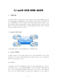 CJ mall의 인터넷 마케팅 성공전략