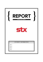 [A+ 레포트] STX그룹 마케팅 보고서(기업소개 / 시장분석 / 성공비결 / 마케팅 전략 제시 등)