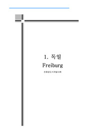 142_생태도시_생태도시개발_생태도시_해외사례_친환경도시개발사례_독일_프라이부르그_1500