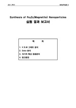 Synthesis of Fe3O4(Magnetite) Nanoparticles 실험 결과 보고서