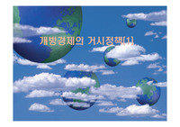 개방경제의 거시정책(1)