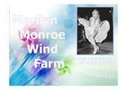 마를린 먼로 바람을 이용한 풍력발전기 제조 및 판매 사업계획서, 벤처 창업 및 경영 과제
