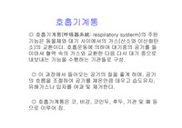 제5장 호흡기계통