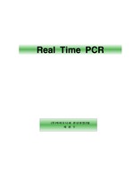 Real-time PCR의 개념