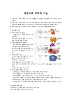 내분비계 구조와 기능