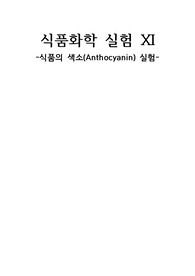 식품의 색소(Anthocyanin) 실험