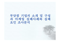 부닷컴 기업의 소개 및 구성과 마케팅 실패사례와 실패요인 조사분석