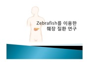 Zebrafish를 이용한 췌장 질환 연구