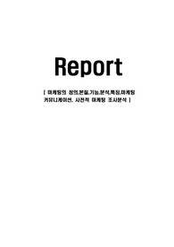 마케팅의 정의,본질,기능,분석,특징,마케팅 커뮤니케이션, 사전적 마케팅 조사분석