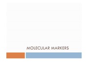 Molecular Markers (분자 마커)