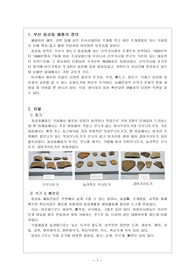 부산 동삼동 패총