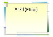 [곤충] 파리(flies)의 모든것!