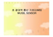 초 광대역 통신 기초(UWB), WUSB, SENSOR
