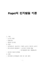 피아제 인지발달이론