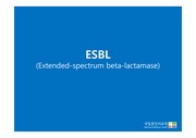 Extended spectrum beta-lactamase(ESBL)