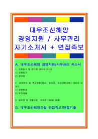 대우조선해양자기소개서, 자소서