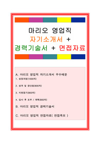 마리오자기소개서, 자소서