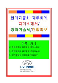 현대차자기소개서, 자소서