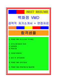 2020 백화점MD자기소개서, 브랜드연출자기소개서, VMD자기소개서, VMD경력기술서, 면접족보 포함