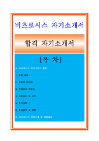 비츠로시스 자기소개서[교통ITS분야]와 면접족보[최종 합격 자료임.]