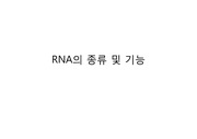 RNA의 종류 및 기능