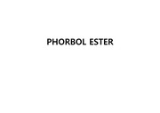 phorbol ester 의 이해