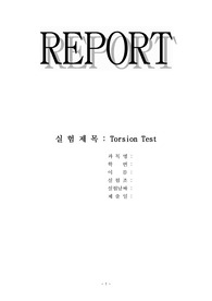 Torsion Test