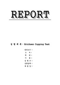 에릭슨 Erichsen Cupping Test
