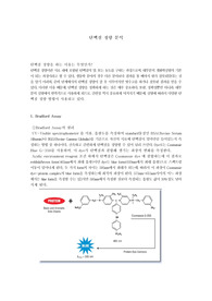 단백질정량분석