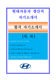 현대차 자기소개서