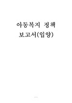 입양 정책보고서