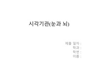 맹점확인과 시각기관 요약