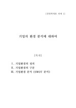 기업의 환경분석에 대하여